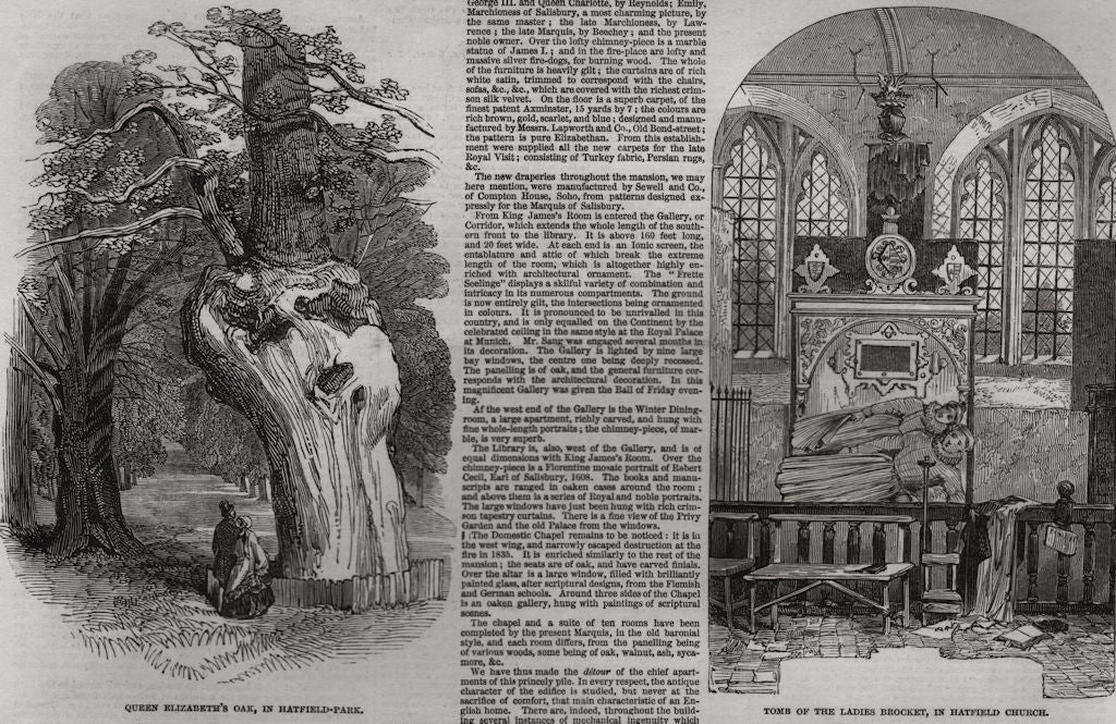Queen Elizabeth's Oak, Hatfield Park; Brocket Ladies tomb, Hatfield Church 1846